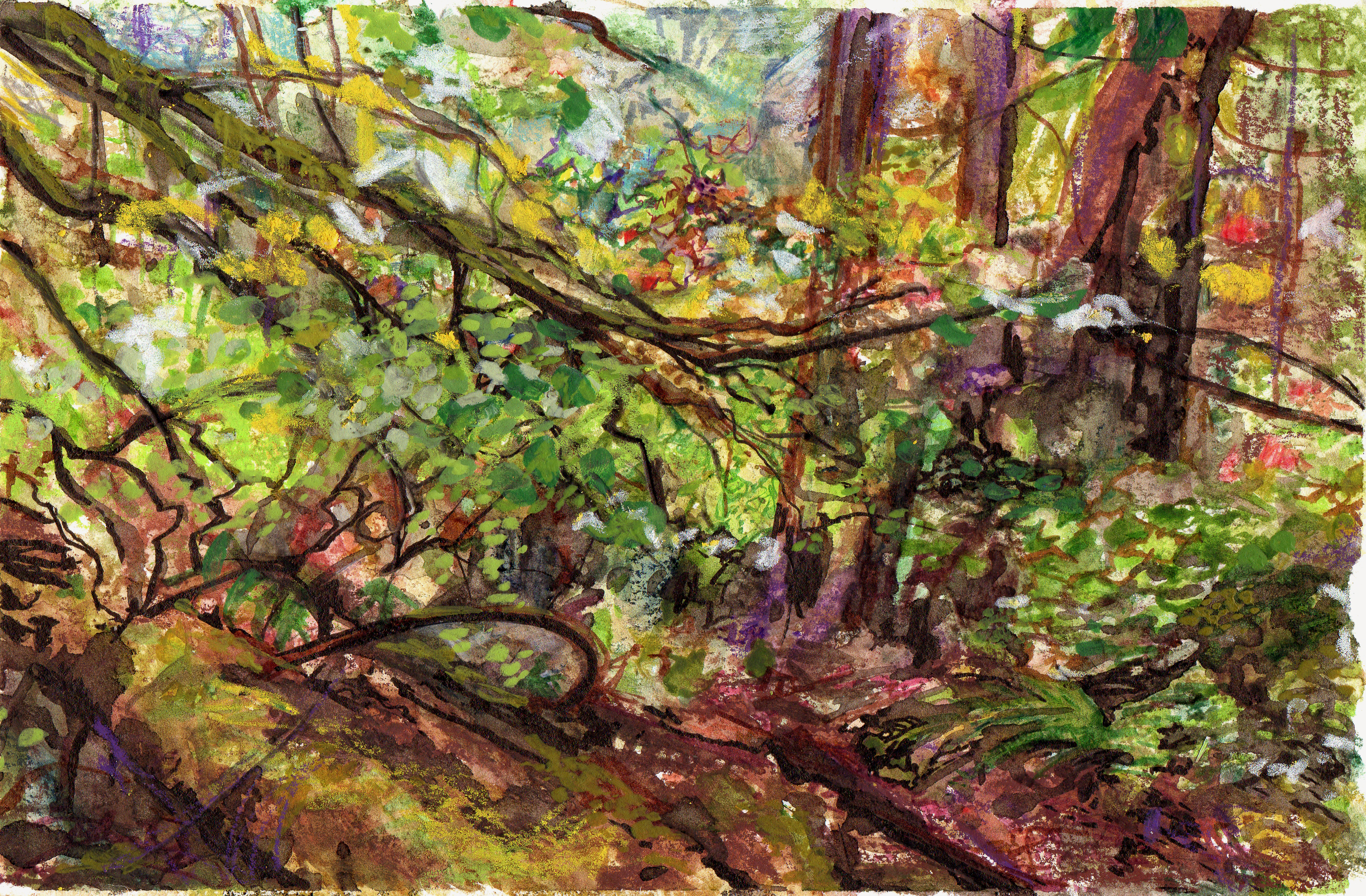 forest sketch rainy.jpg