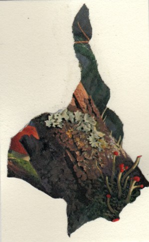 abstract bunny mixed