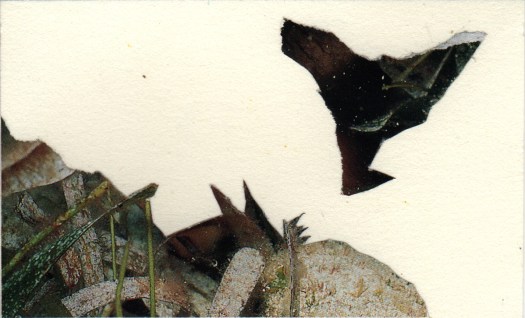 abstract cliff mixed